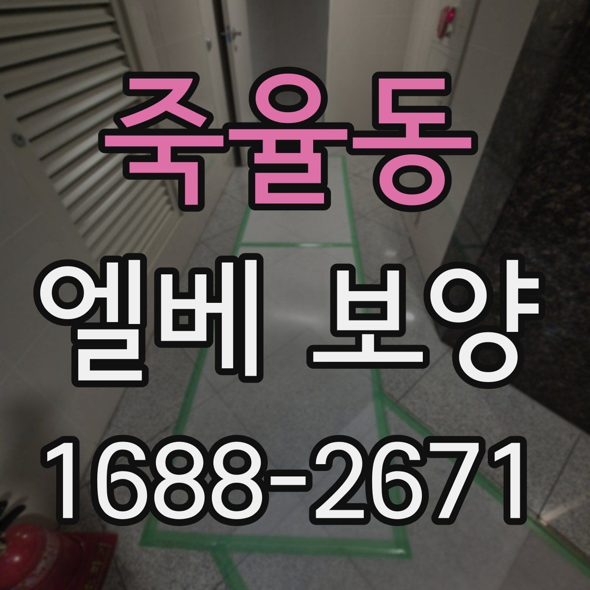 죽율동 엘베 보양 버튼부와 문틀을 따로 지키는 이유