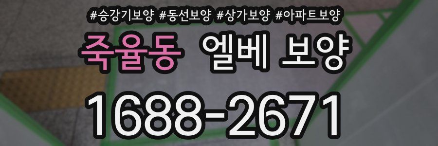 죽율동 엘베 보양