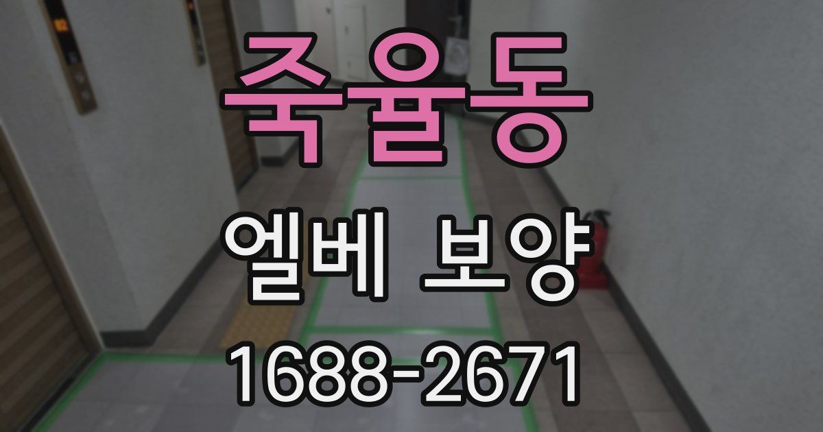 죽율동 엘베 보양