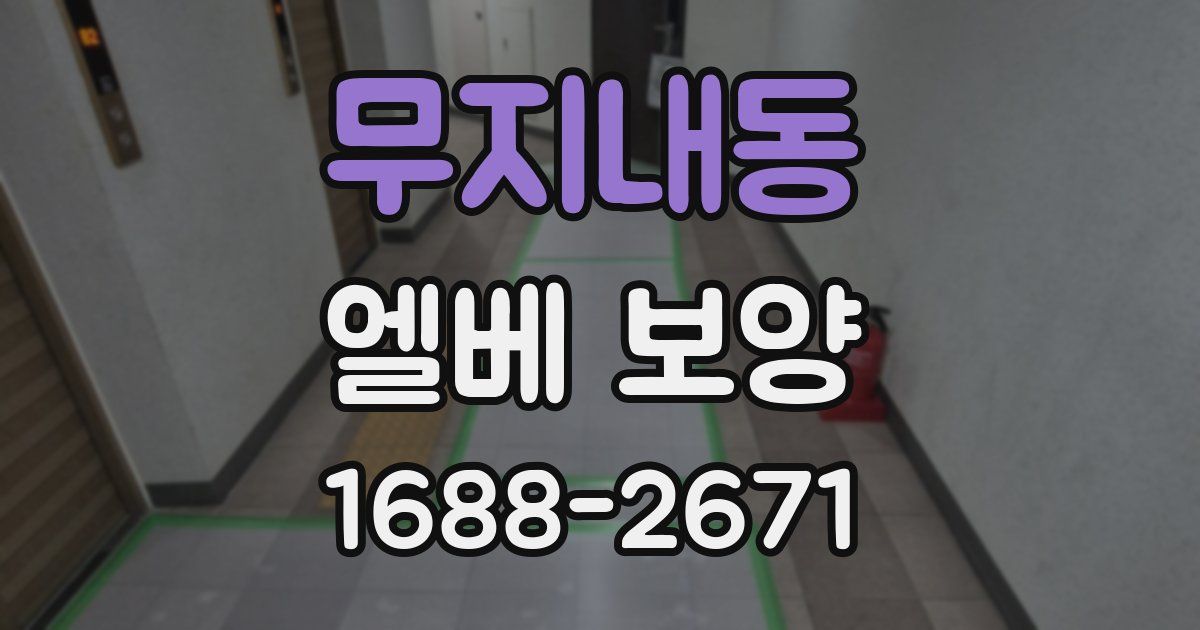 무지내동 엘베 보양