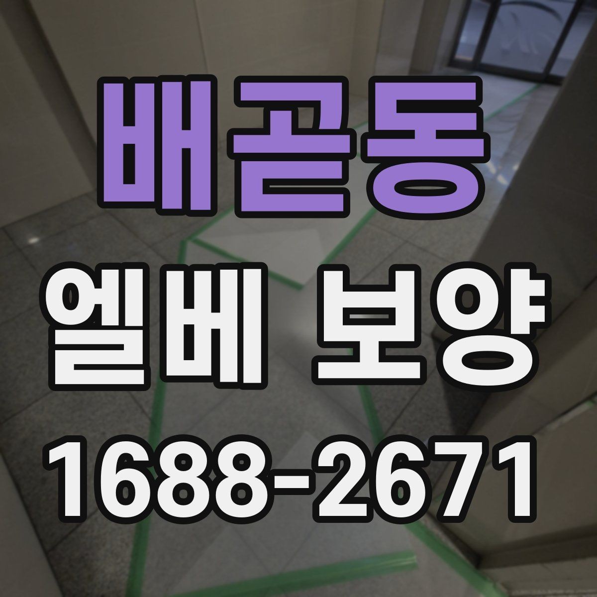 배곧동 엘베 보양 주거용과 상업용 건물 적용 차이
