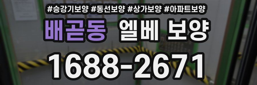 배곧동 엘베 보양