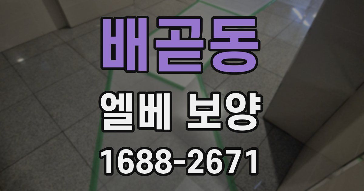 배곧동 엘베 보양