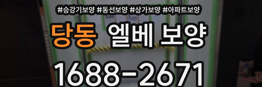 당동 엘베 보양