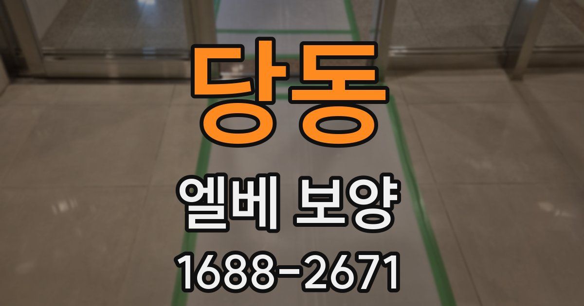 당동 엘베 보양