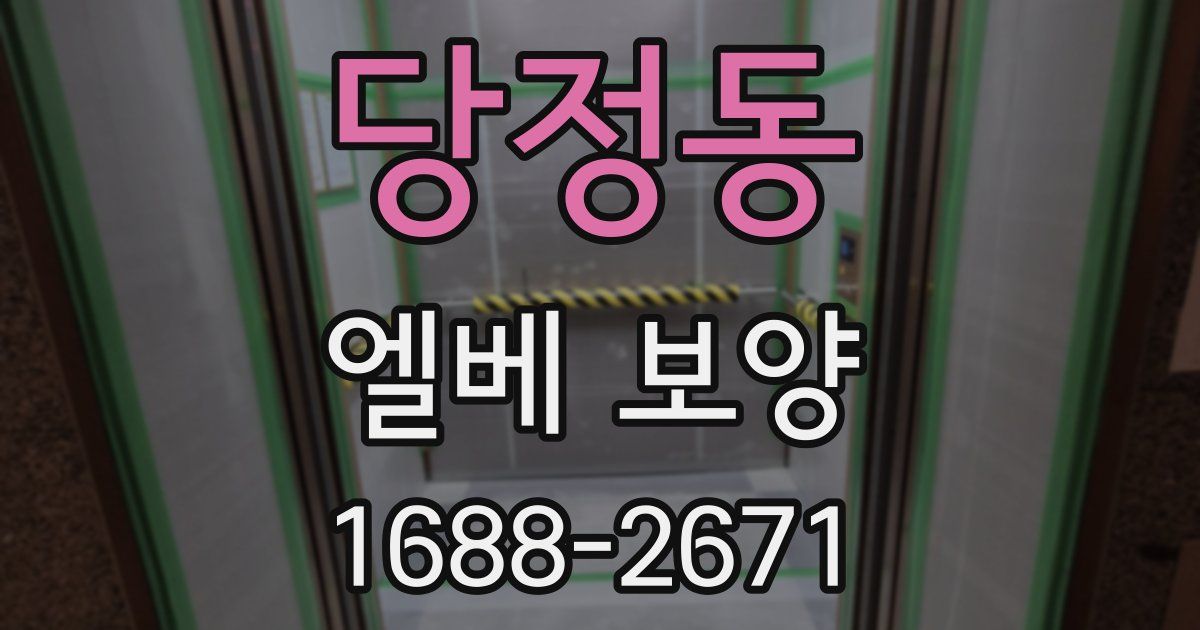 당정동 엘베 보양