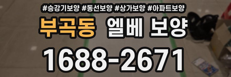 부곡동 엘베 보양