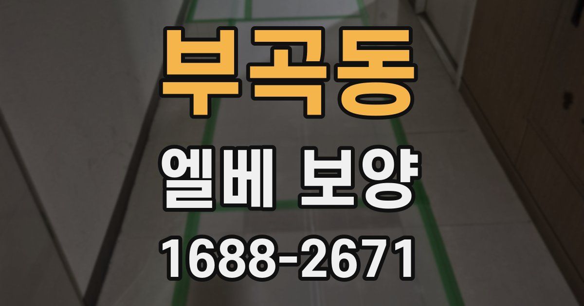 부곡동 엘베 보양