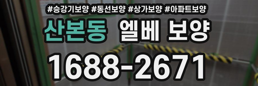 산본동 엘베 보양