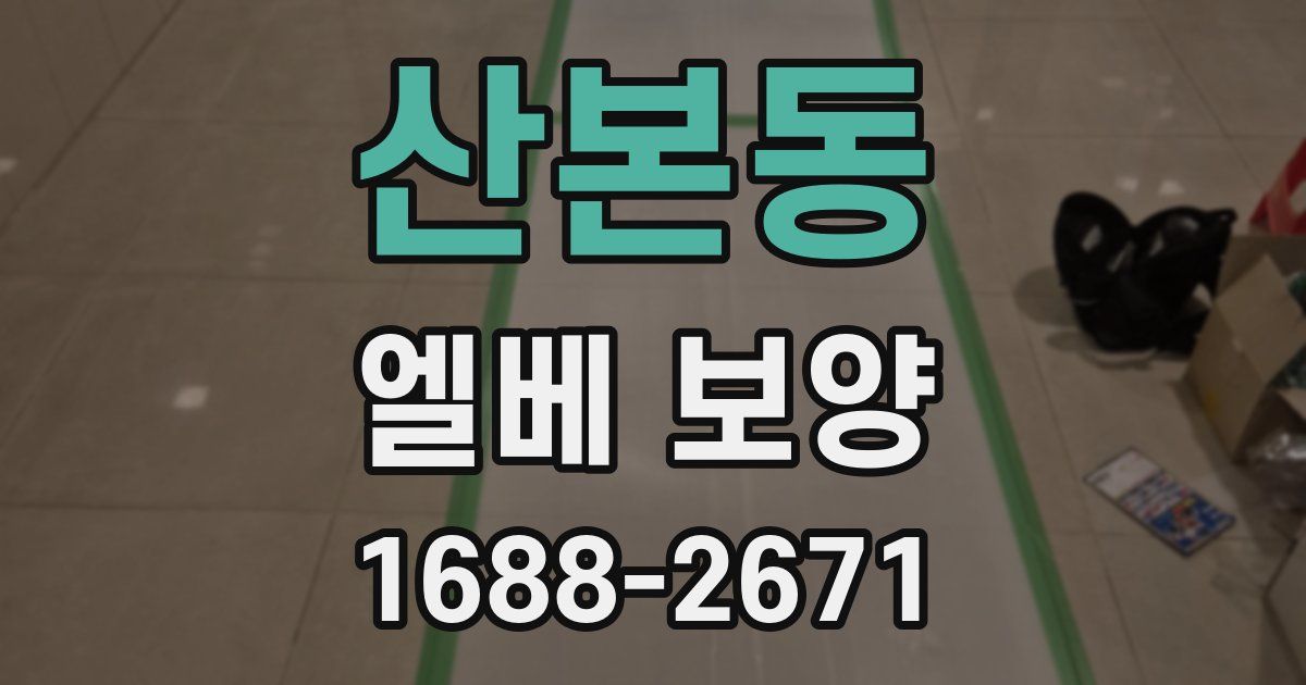 산본동 엘베 보양