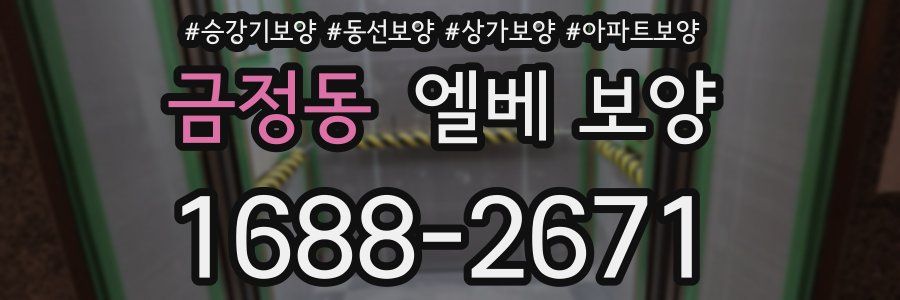 금정동 엘베 보양