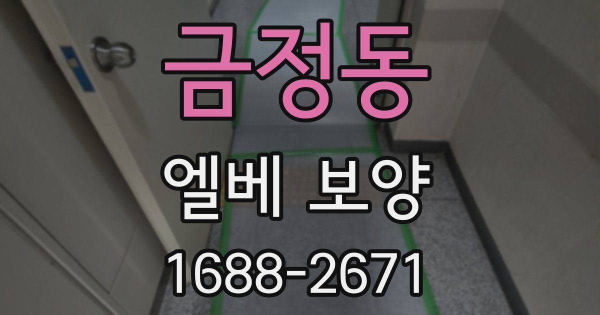 금정동 엘베 보양
