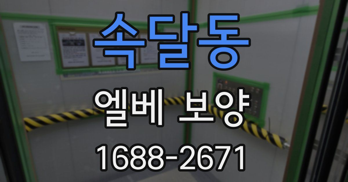 속달동 엘베 보양