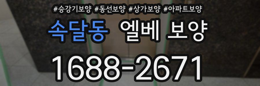 속달동 엘베 보양