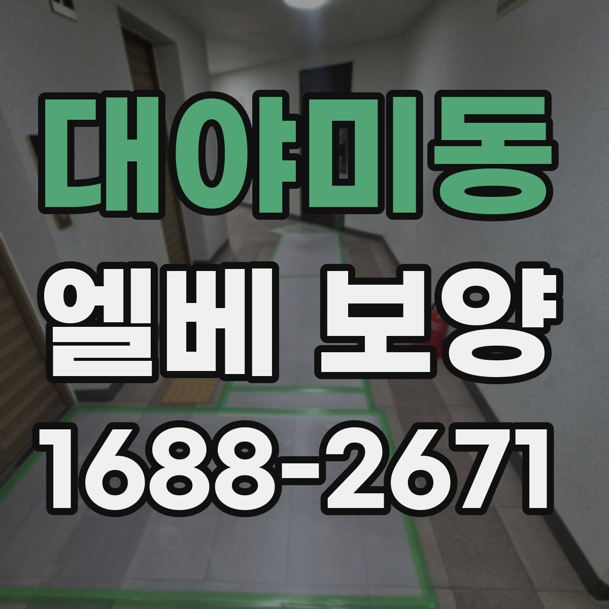 대야미동 엘베 보양 출입 빈도 높은 구간 관리 포인트
