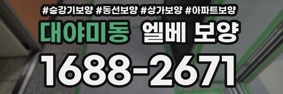 대야미동 엘베 보양