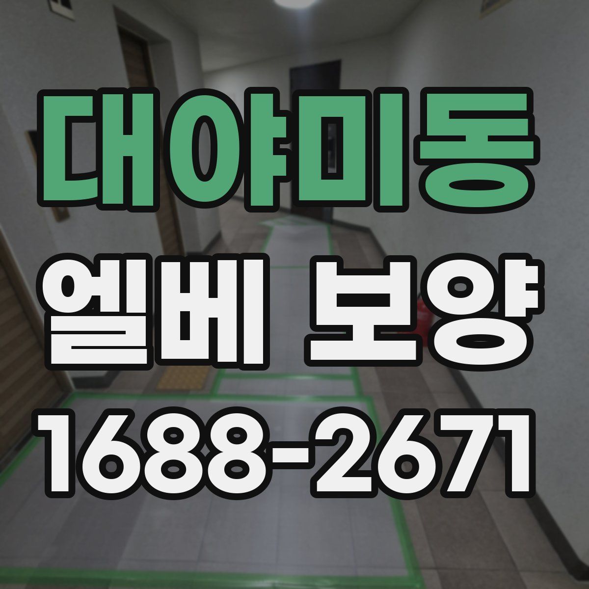 대야미동 엘베 보양