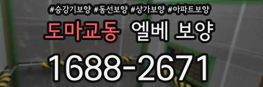 도마교동 엘베 보양
