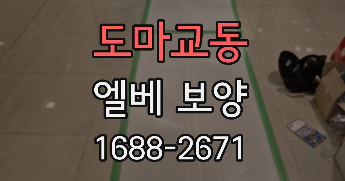 도마교동 엘베 보양
