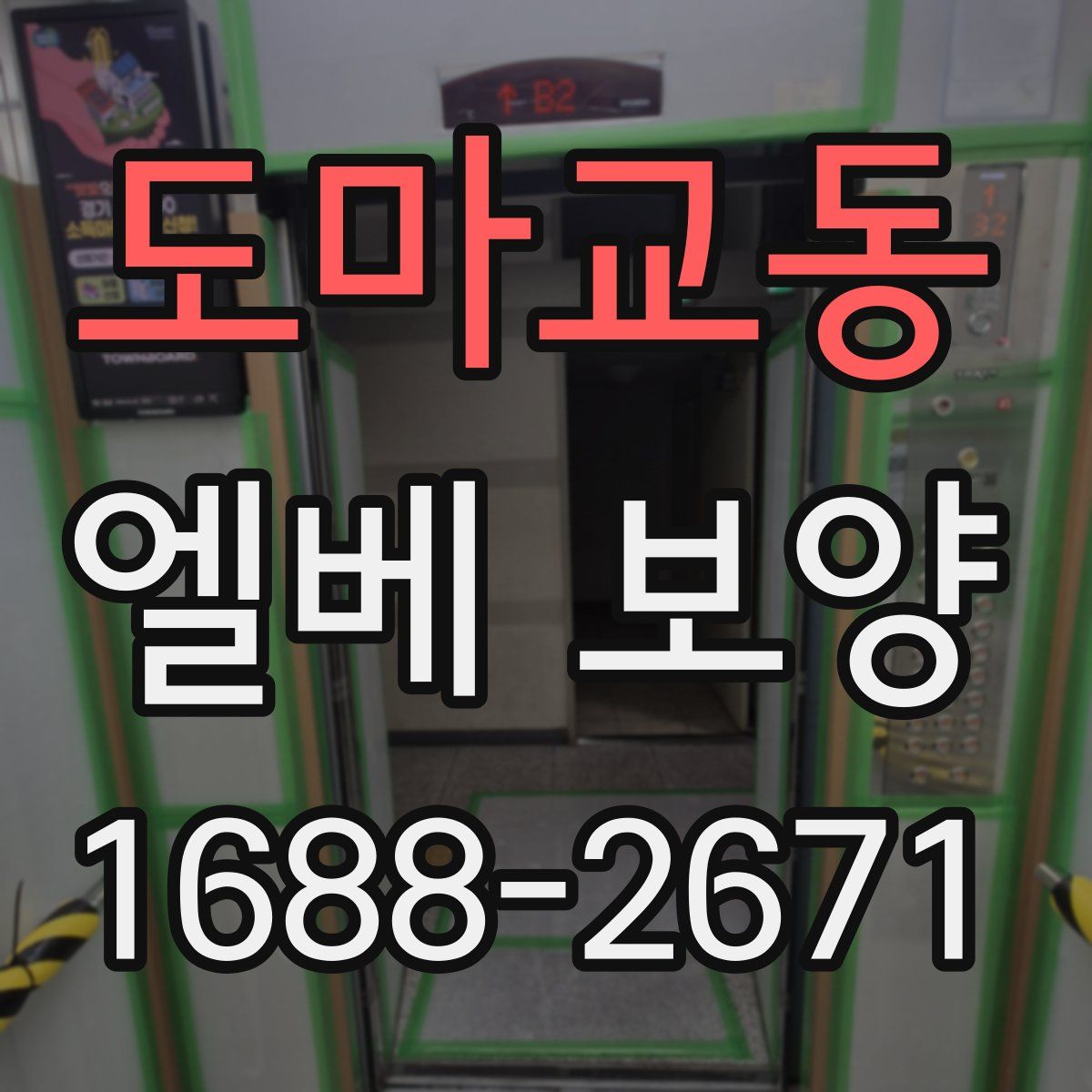도마교동 엘베 보양