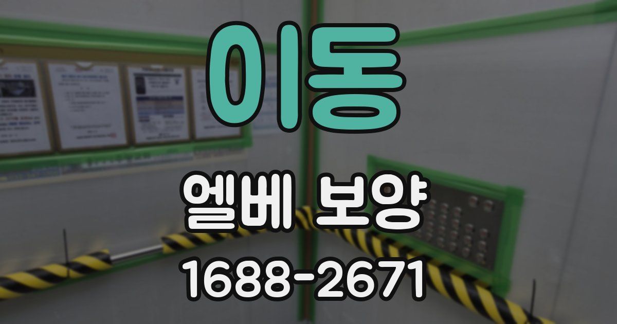 이동 엘베 보양