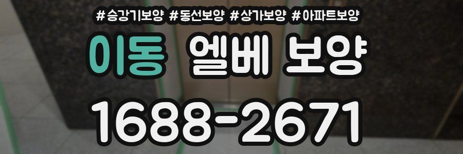 이동 엘베 보양