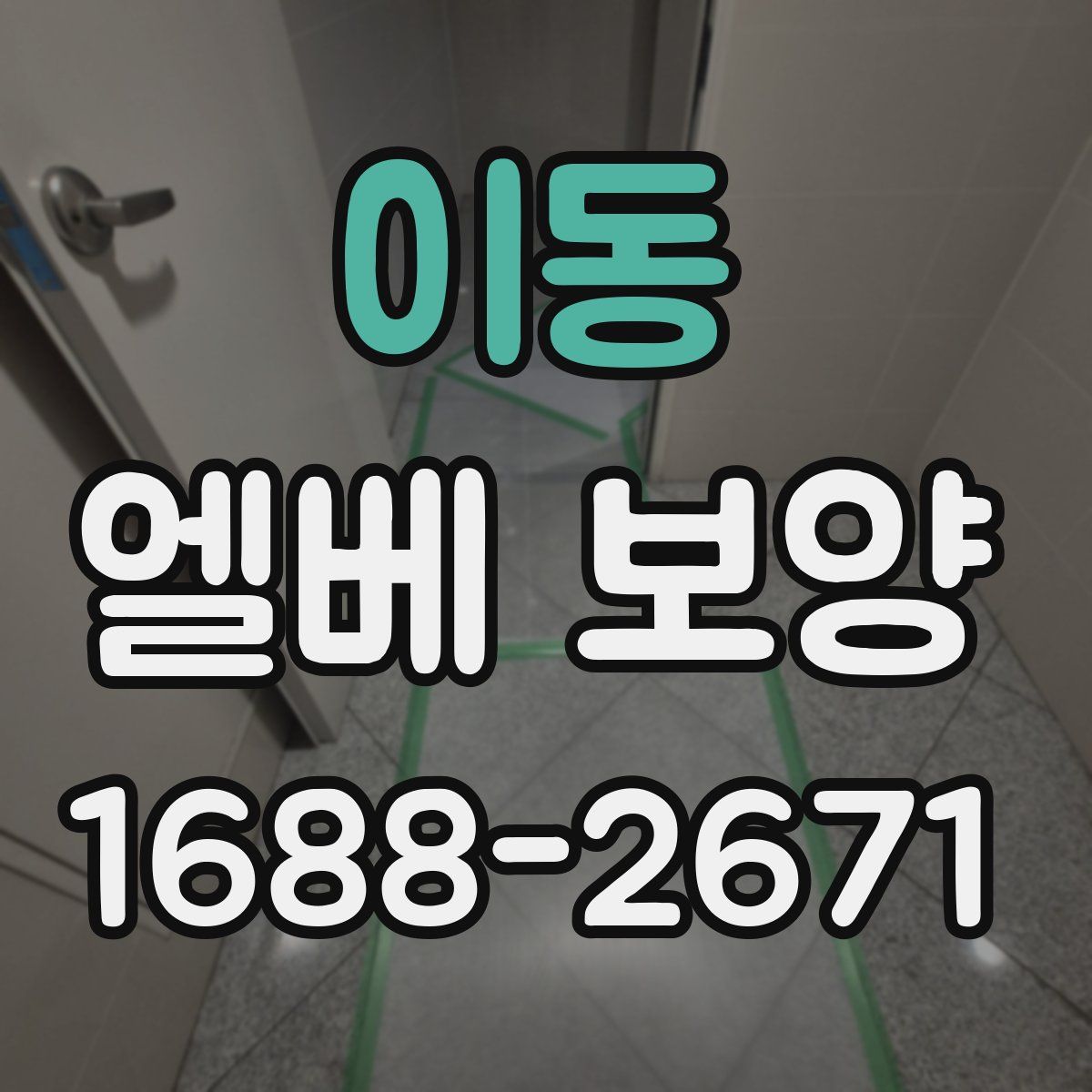 이동 엘베 보양