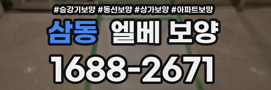 삼동 엘베 보양