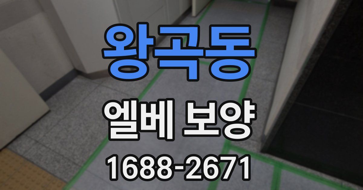 왕곡동 엘베 보양