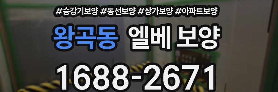 왕곡동 엘베 보양