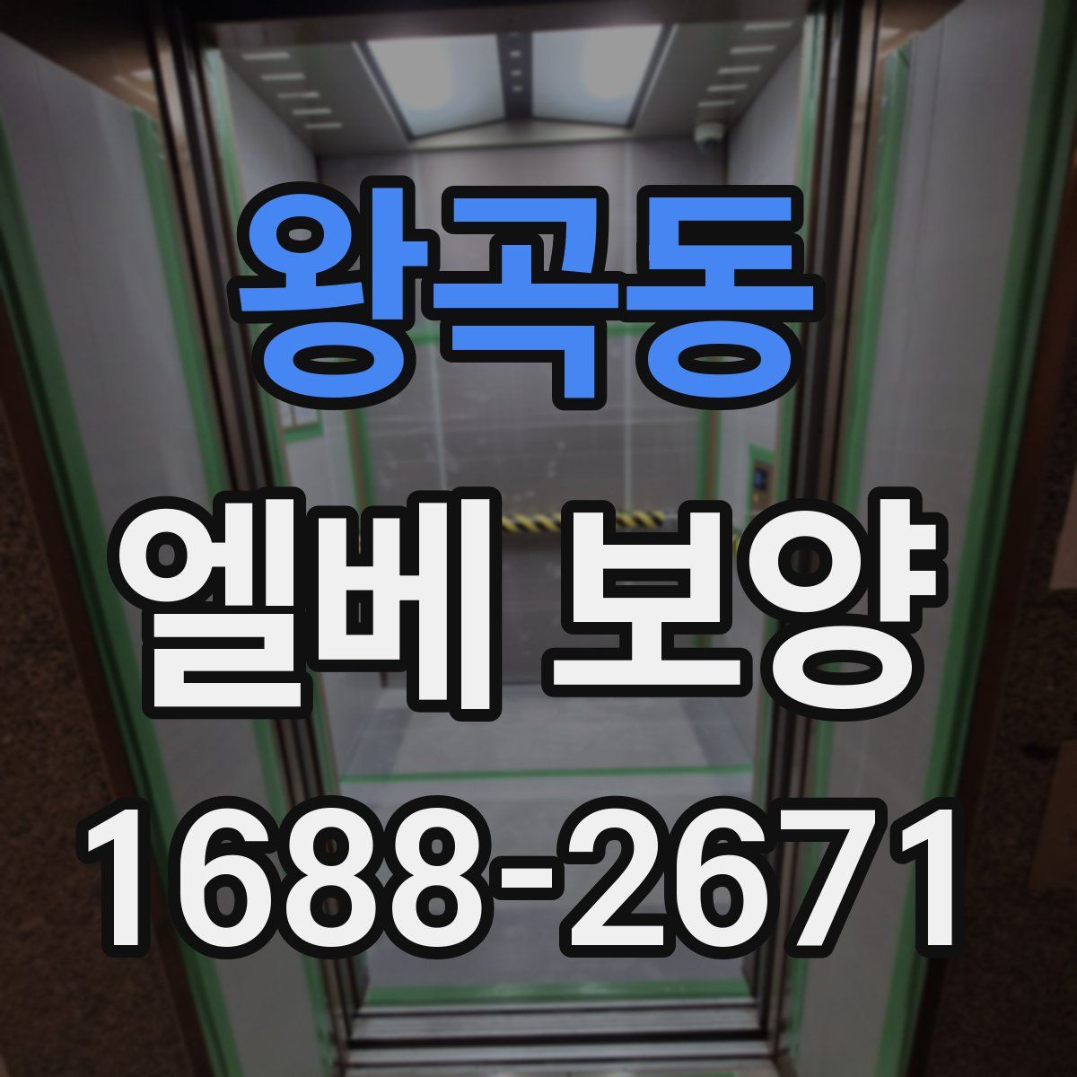 왕곡동 엘베 보양