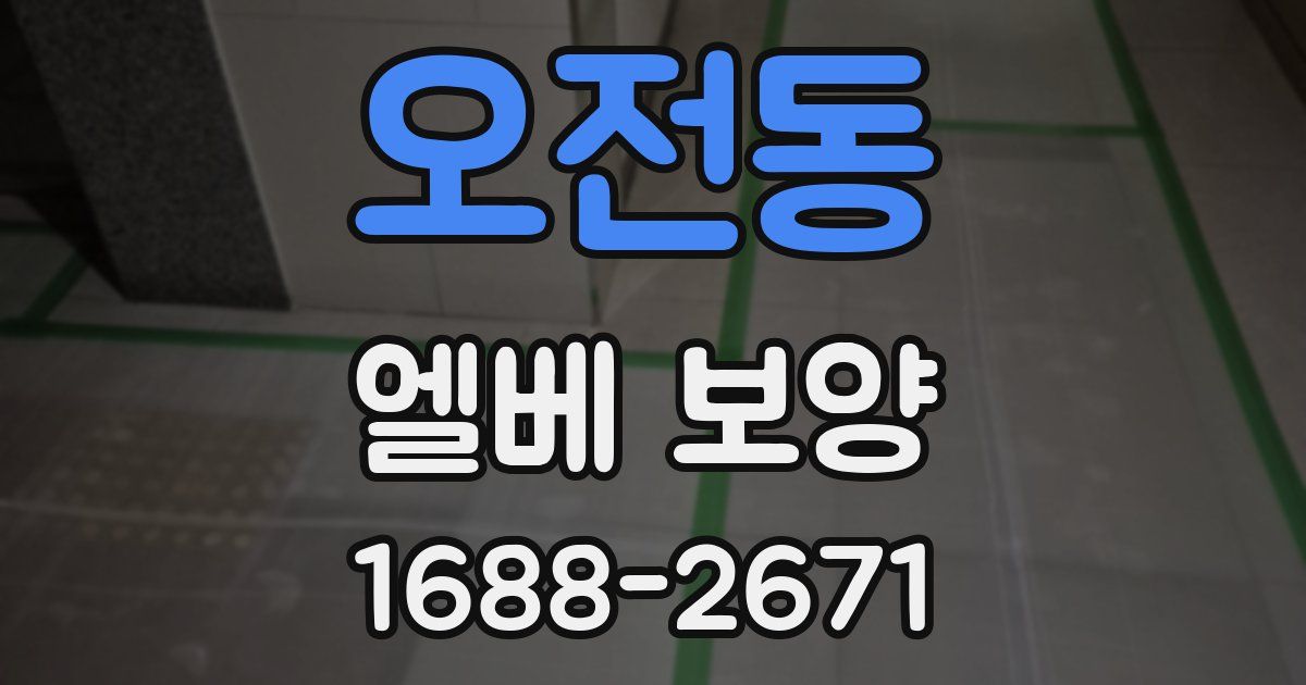 오전동 엘베 보양