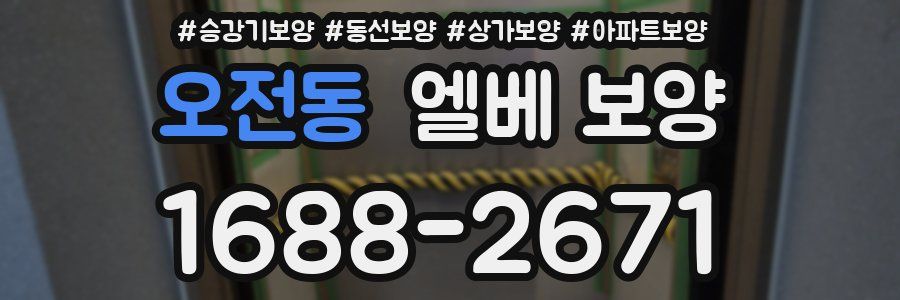 오전동 엘베 보양