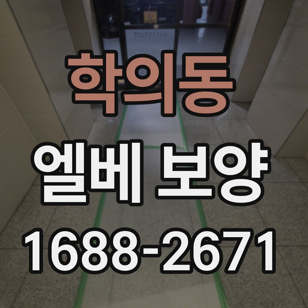 학의동 엘베 보양