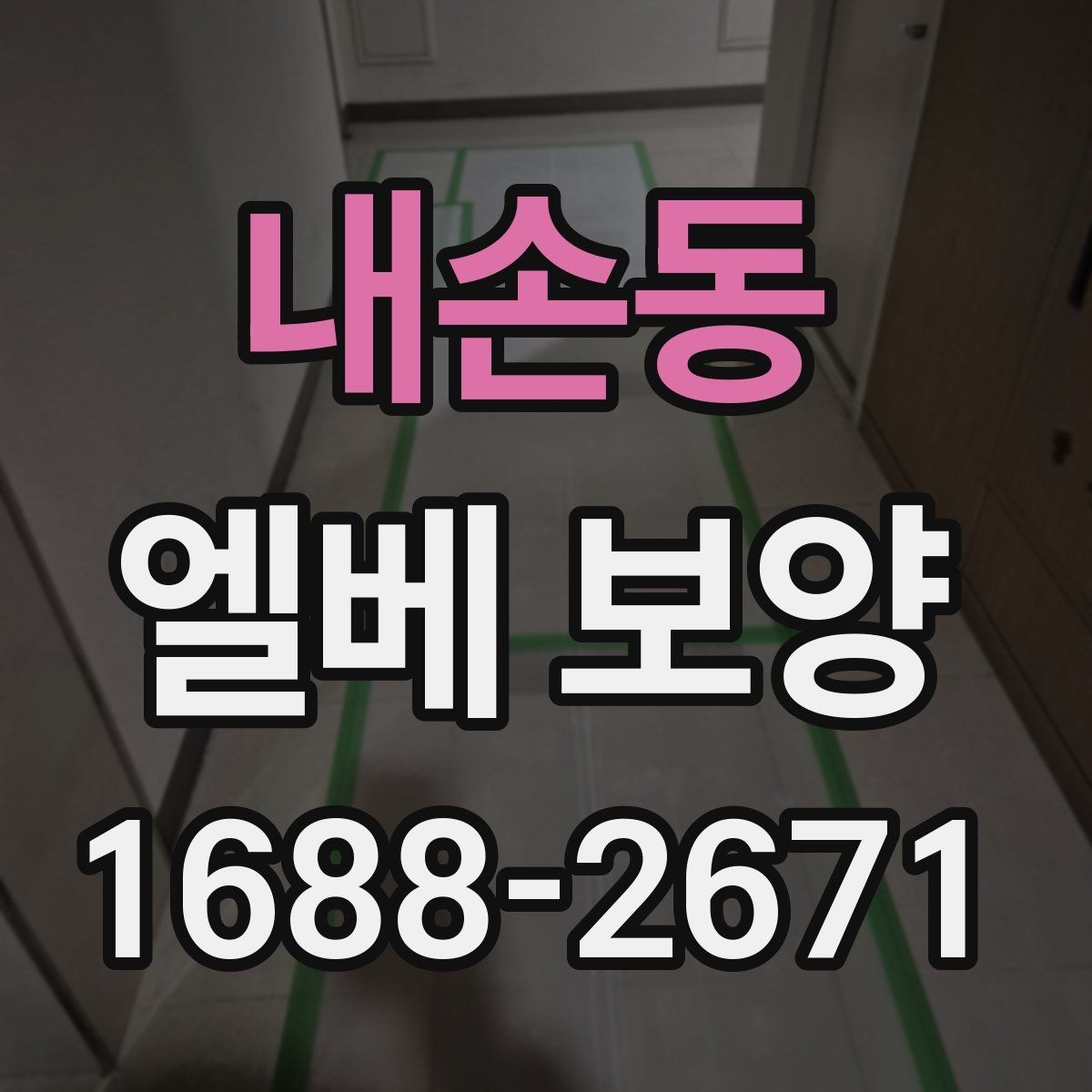 내손동 엘베 보양 대형 이사 현장에 맞는 보호 범위 설정