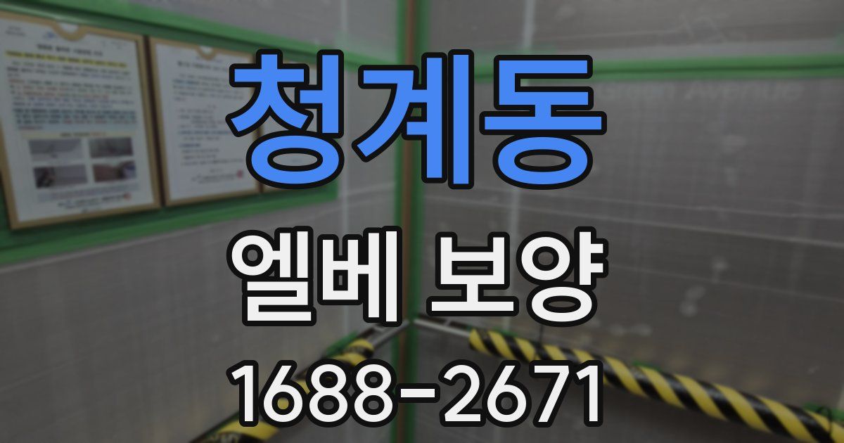 청계동 엘베 보양
