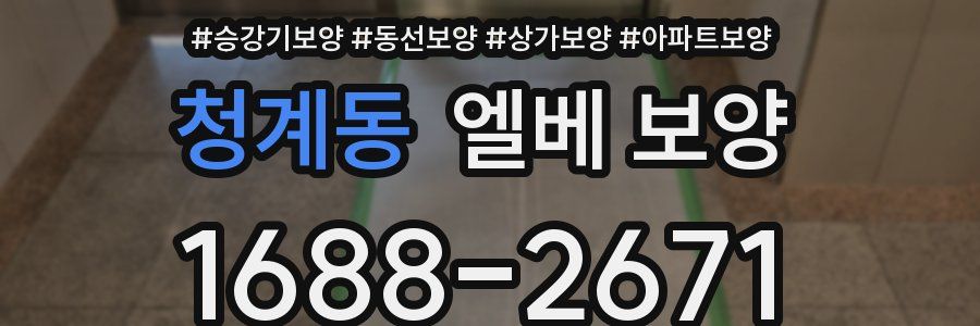 청계동 엘베 보양