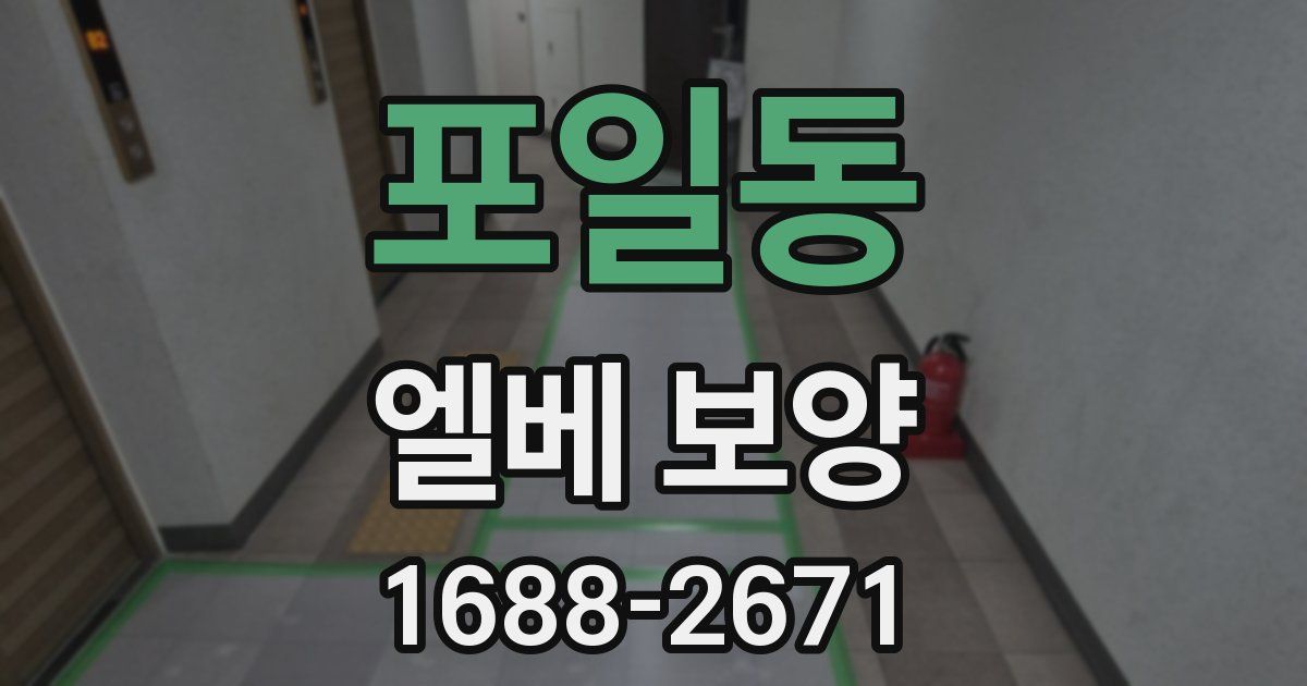 포일동 엘베 보양