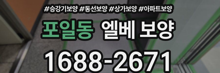 포일동 엘베 보양