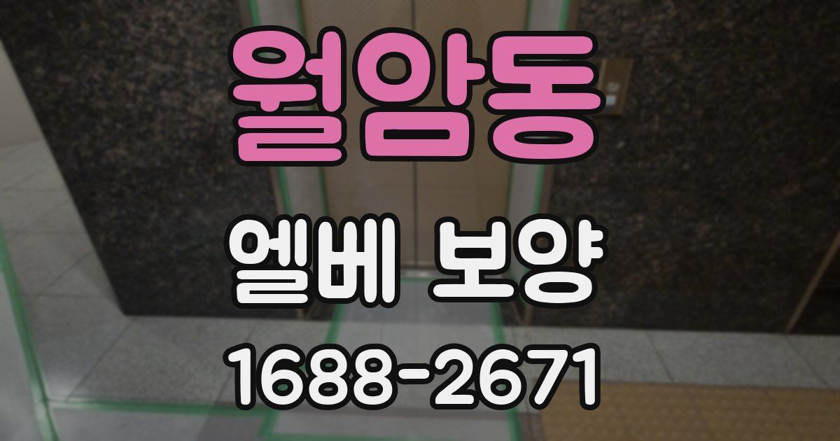 월암동 엘베 보양