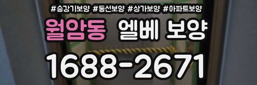 월암동 엘베 보양
