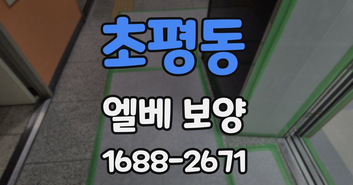 초평동 엘베 보양