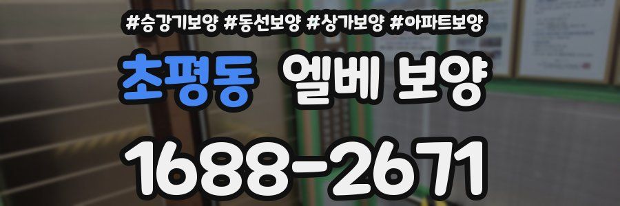 초평동 엘베 보양
