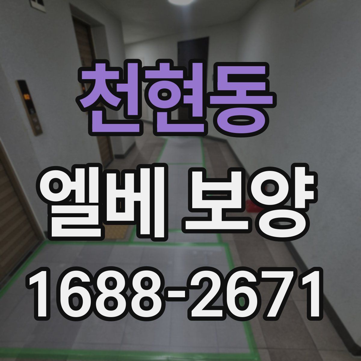 천현동 엘베 보양