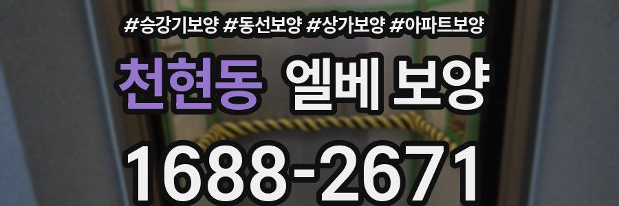 천현동 엘베 보양