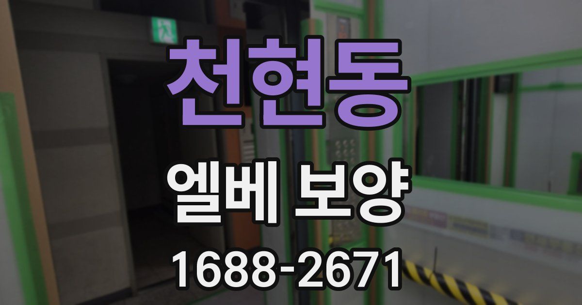 천현동 엘베 보양