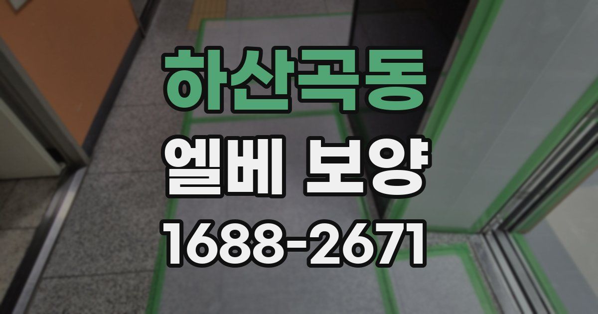 하산곡동 엘베 보양