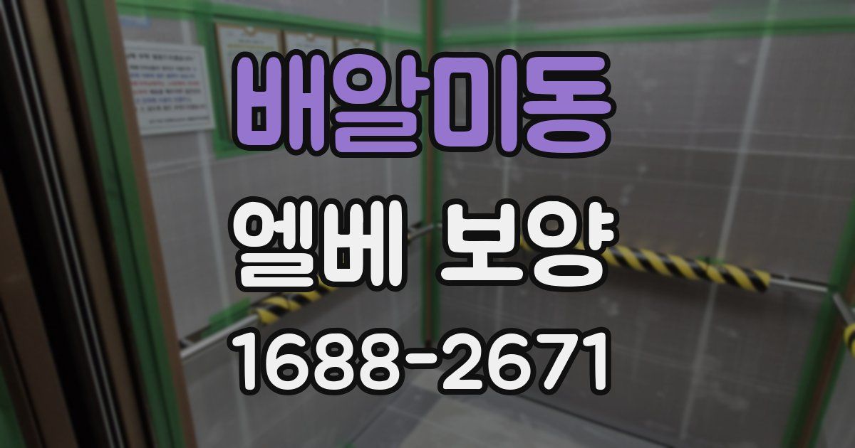배알미동 엘베 보양