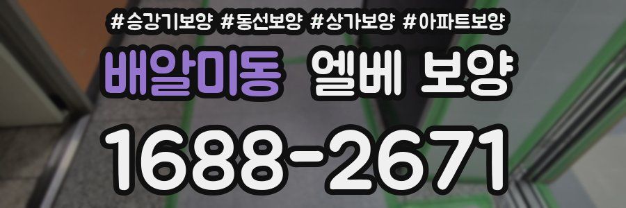 배알미동 엘베 보양
