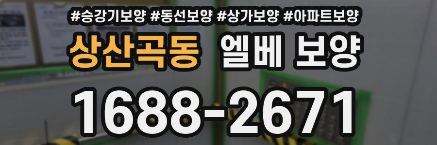 상산곡동 엘베 보양
